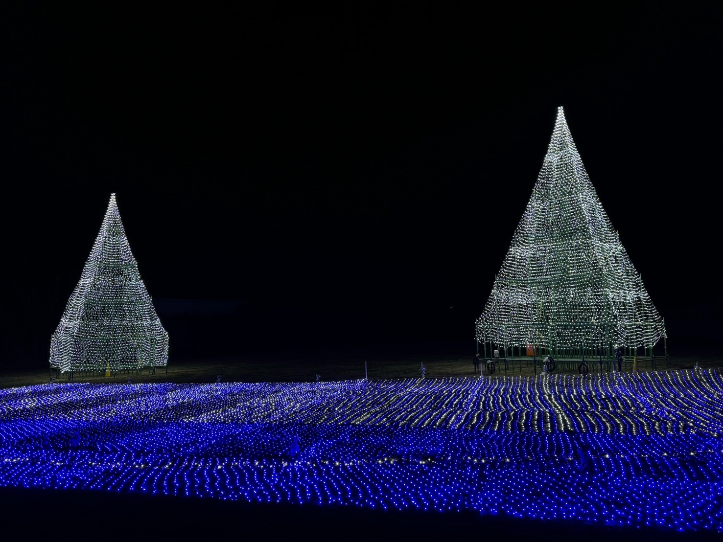 イベント